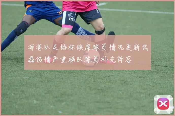 海港队足协杯缺席球员情况更新武磊伤情严重梯队球员补充阵容